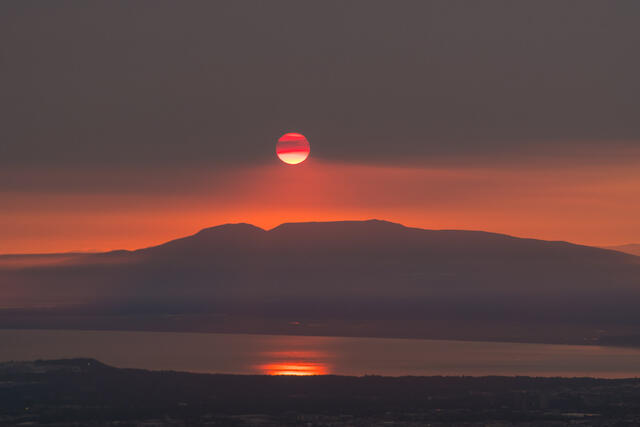 Susitna Red print