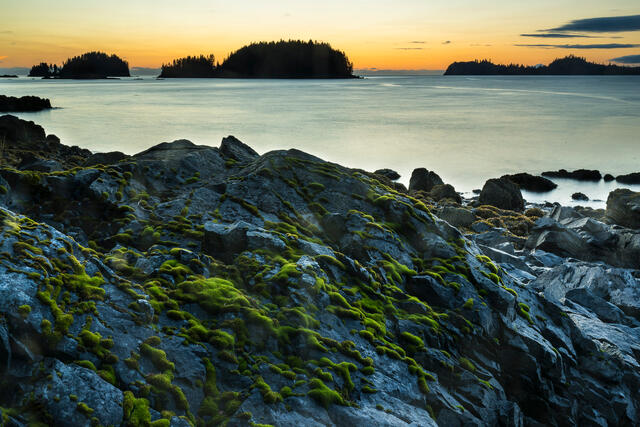 Moss and Twilight print