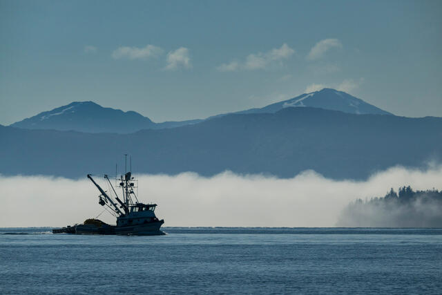 Boat and Fog print
