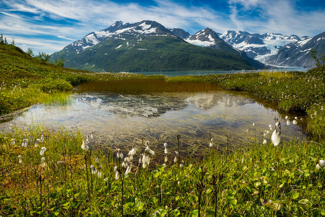 A Pond to Reflect print