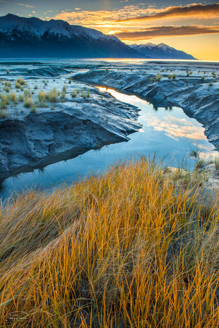 Turnagain Gold print