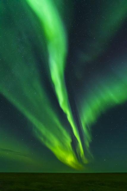 Aurora over Tundra print