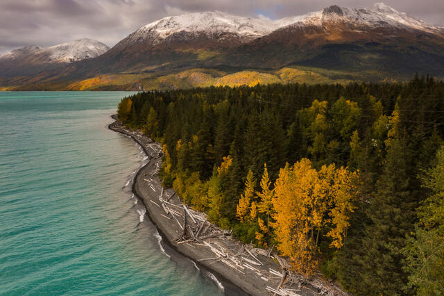 Autumn Shoreline print