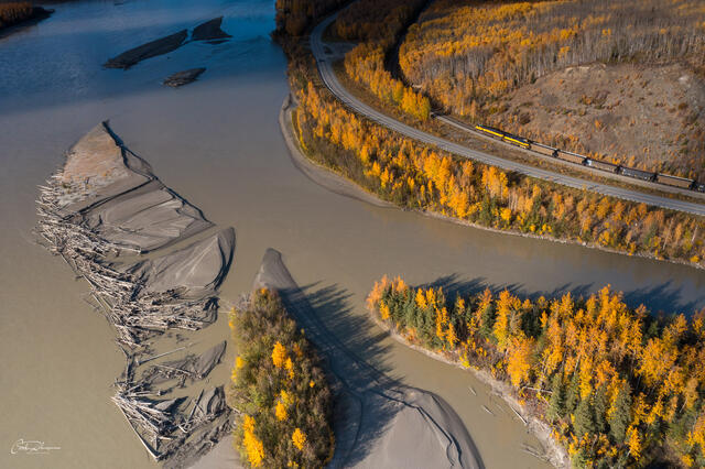 Tanana and Train print