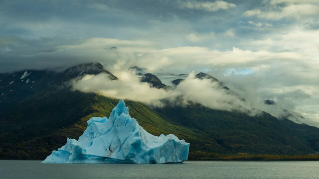 Colonial Iceberg print