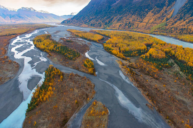 Autumn Knik print
