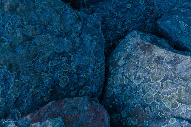 Blue and Green Circles print