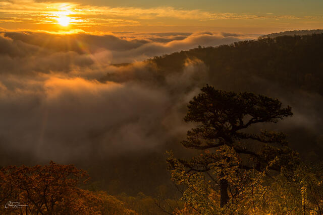 Sunrise over Fog print