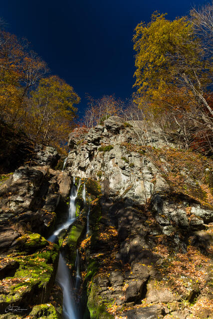 View Up Falls print