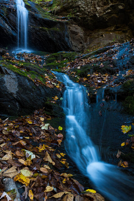 Falling Waters and Leaves print