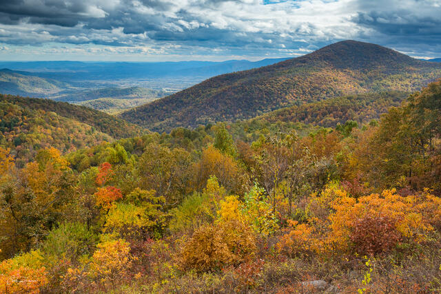 Autumn View print