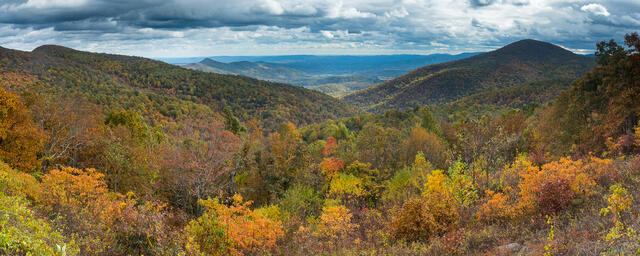 Broad Autumn View print