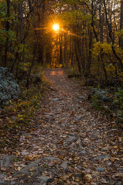 Spotlight on the Trail print