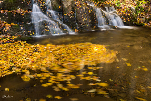 Falls and Leaves Swirl print