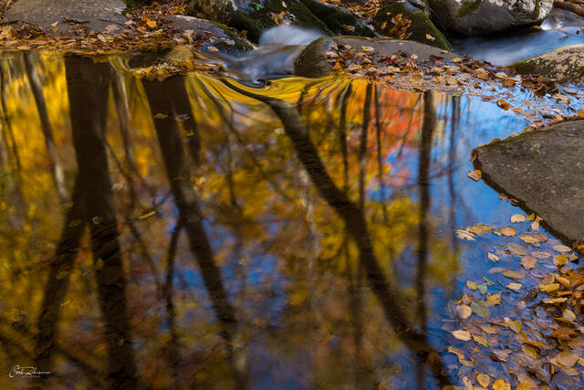 Autumn Reflection print