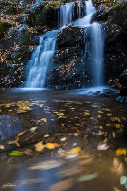 Dark Hollow Falls and Leaves print