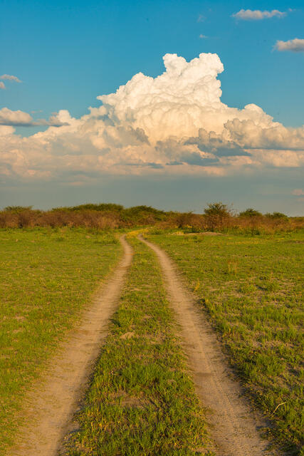 Road Across the Plains print