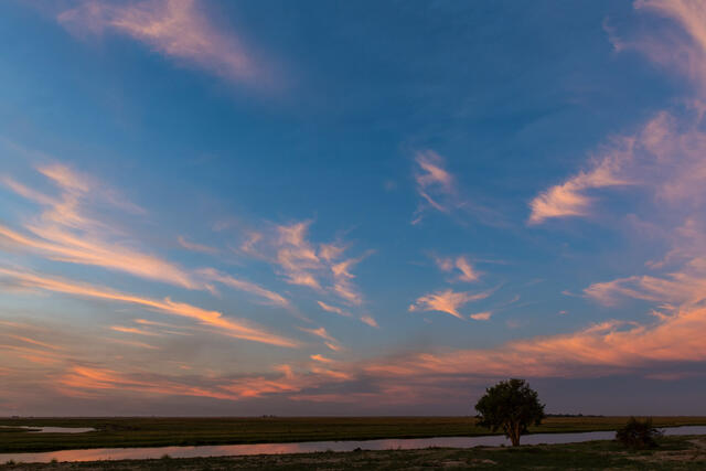 Chobe Skies print