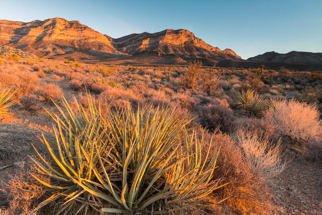 First at Red Rock print