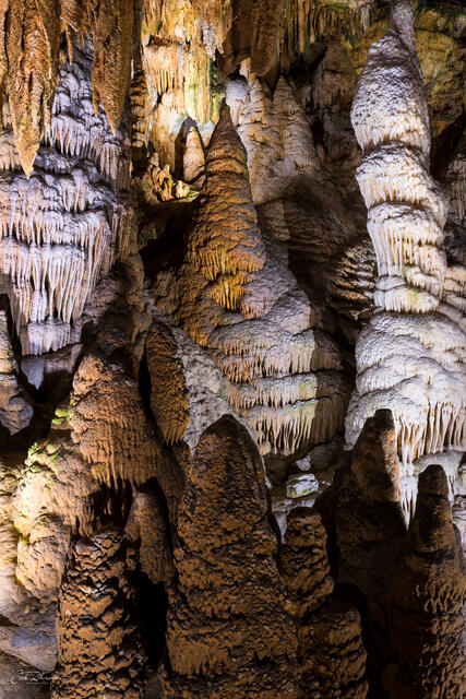 Ancient Columns print