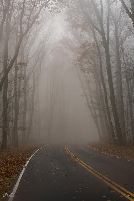Through the Fog print