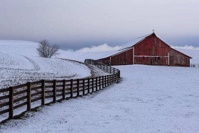 Palouse Barn print