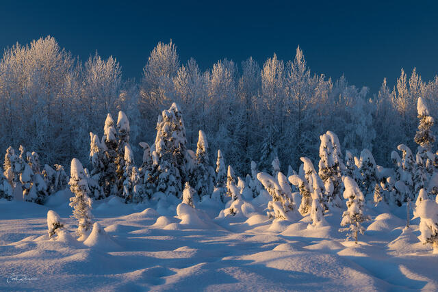 Winter Wonderland print