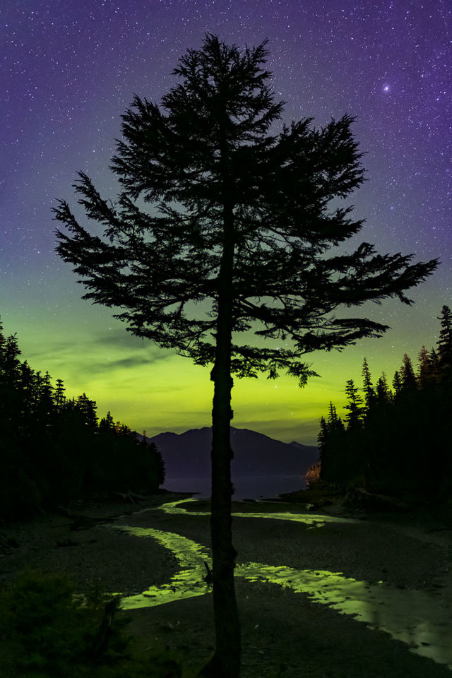 Recognition in Nature's Best Photography International Awards