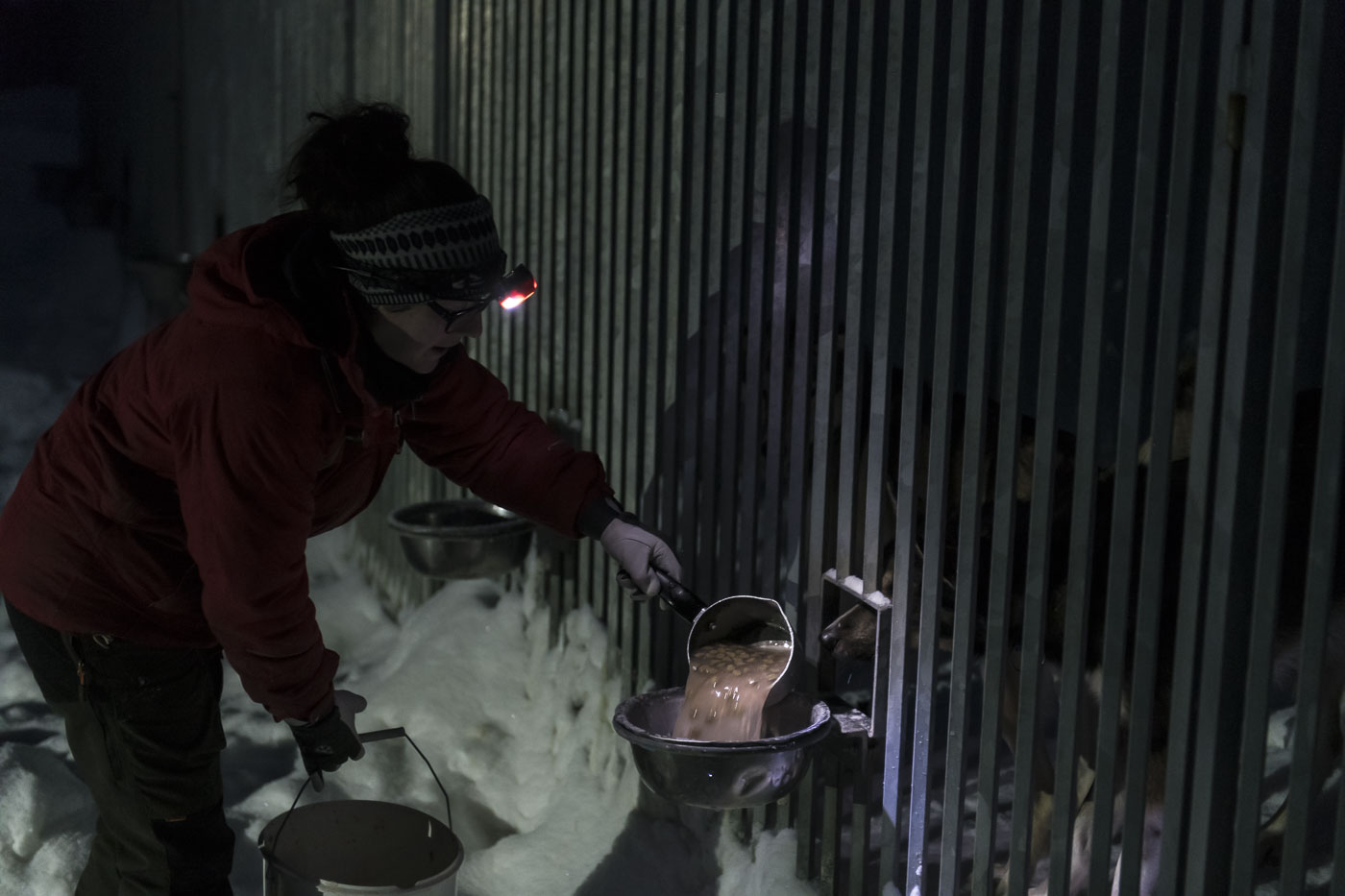 Helen Mulane feeds dogs during the morning feeding at 7:00.