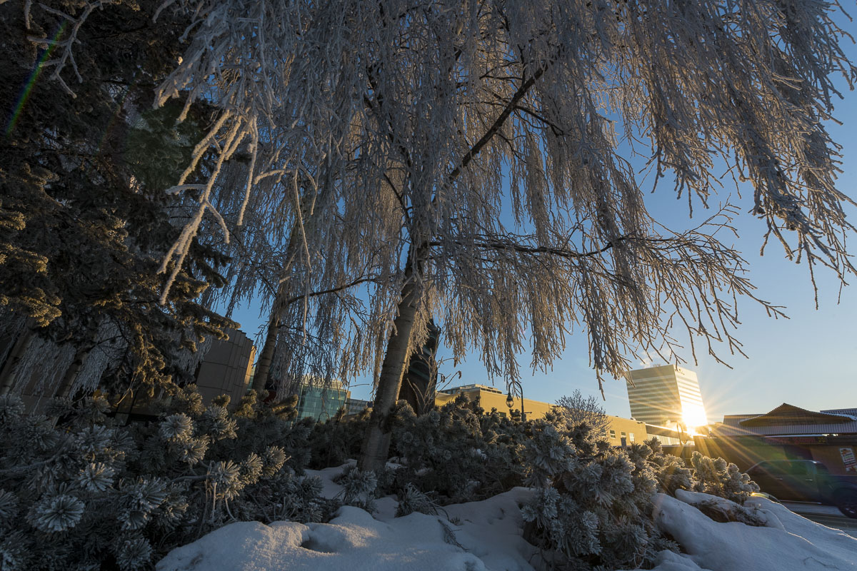 Afternoon sun reflects off the Conoco Phillips building in downtown Anchorage at the Nesbett Courthouse on a frosty winter day...