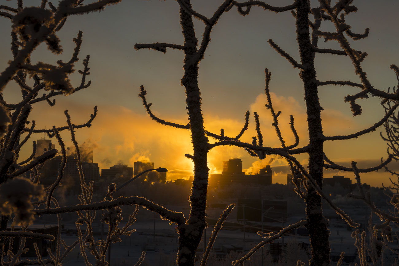 Steam rises from buildings in downtown Anchorage as the sun nears its setting point, as viewed through some frosty trees in the...