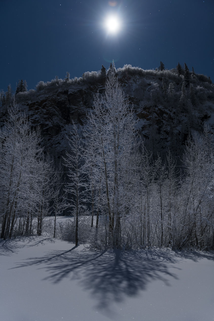 A nearly-full moon casts a spotlight on a tall, frosty birch tree along the Knik River in mid-winter. Temperatures at the time...