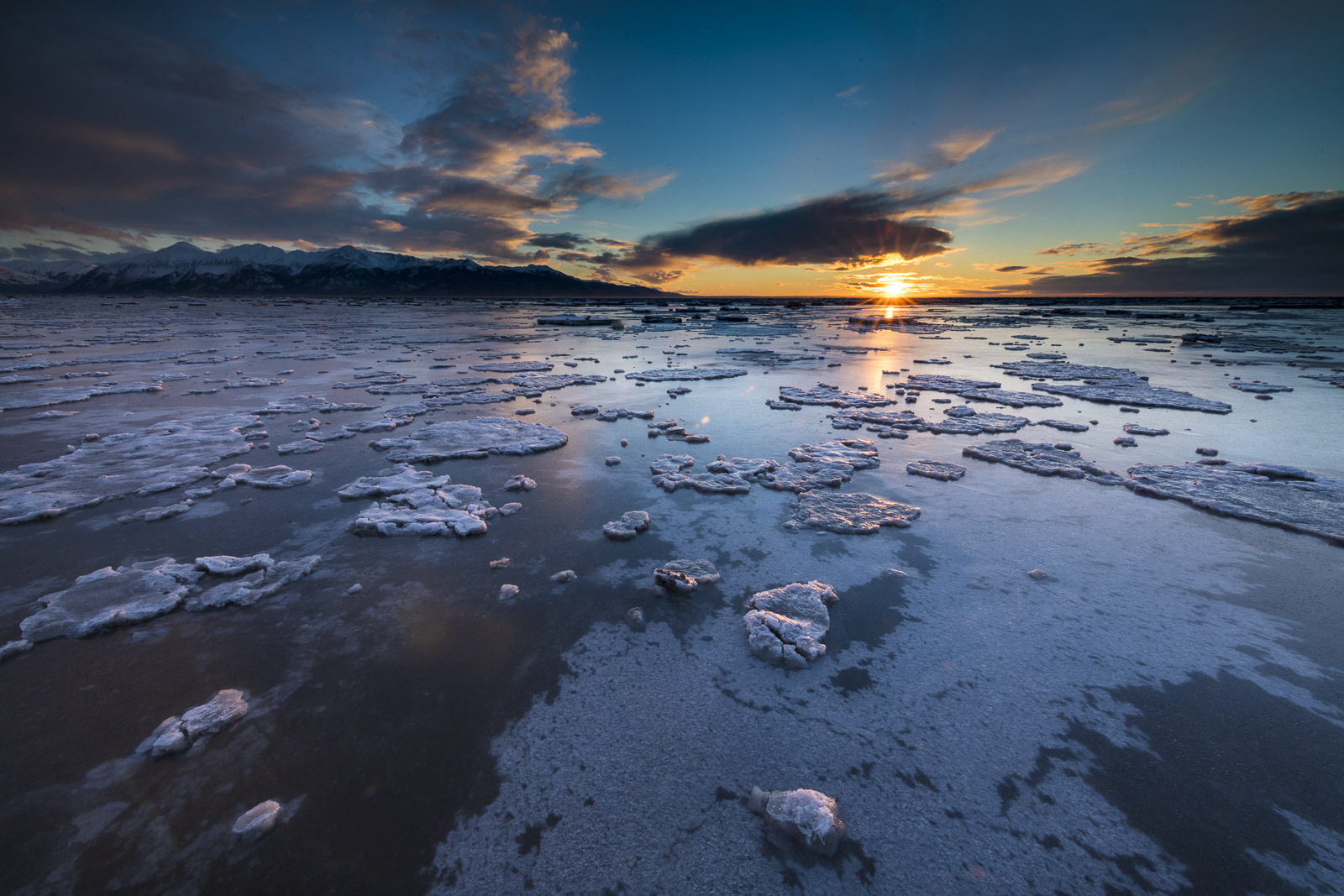 Despite extreme tides that cover this coastal landscape with salt water twice a day, the mudflats of the Anchorage Coastal Wildlfe...
