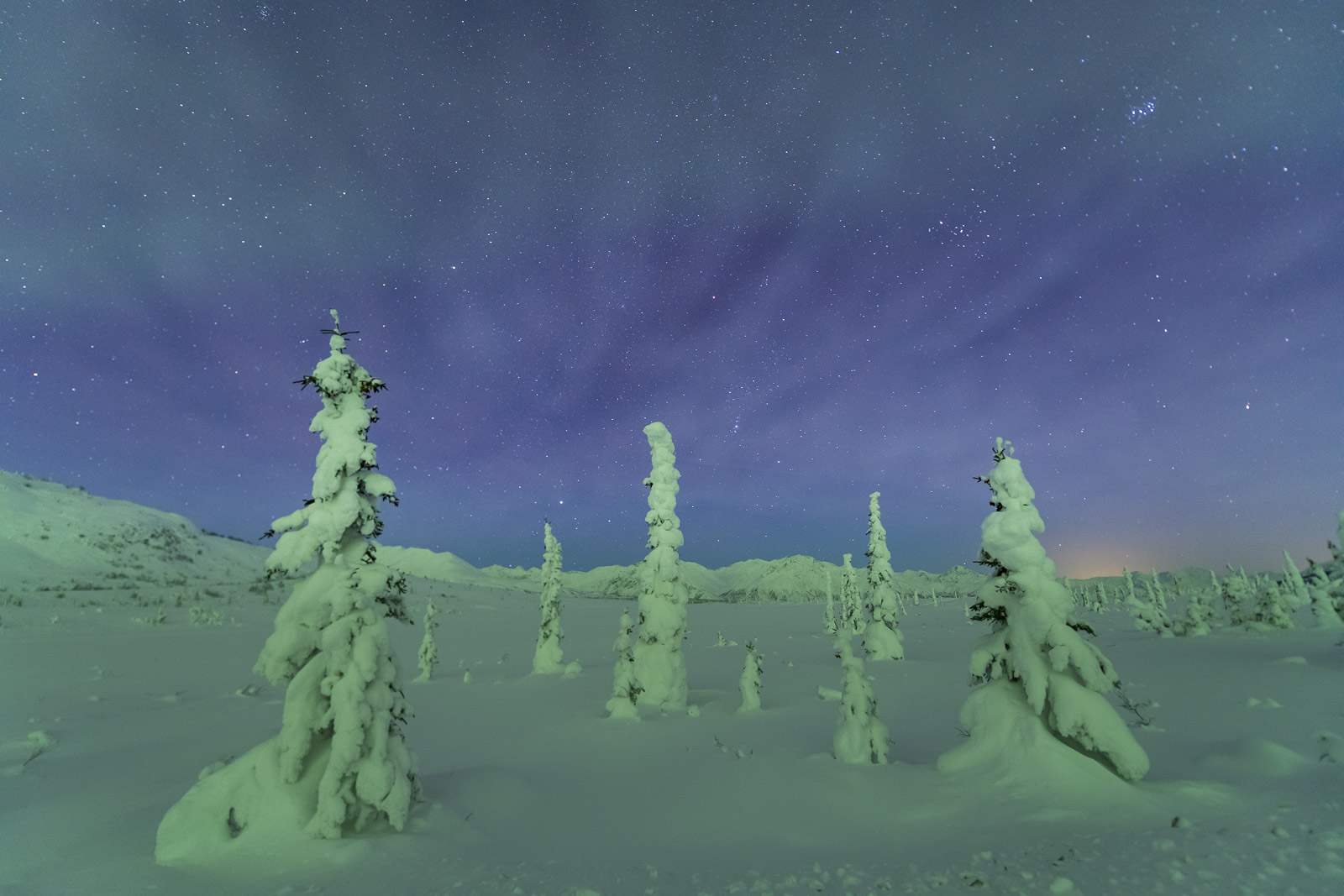 While the northern lights were dancing behind me, I really wanted to photograph this cluster of trees that were thick with frost...