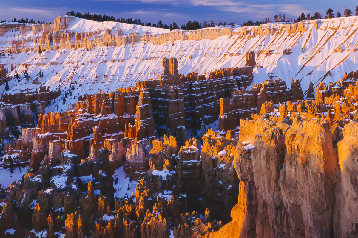 Morning light on hoodoos and other formations at Sunset Point, Bryce Canyon National Park, Utah.