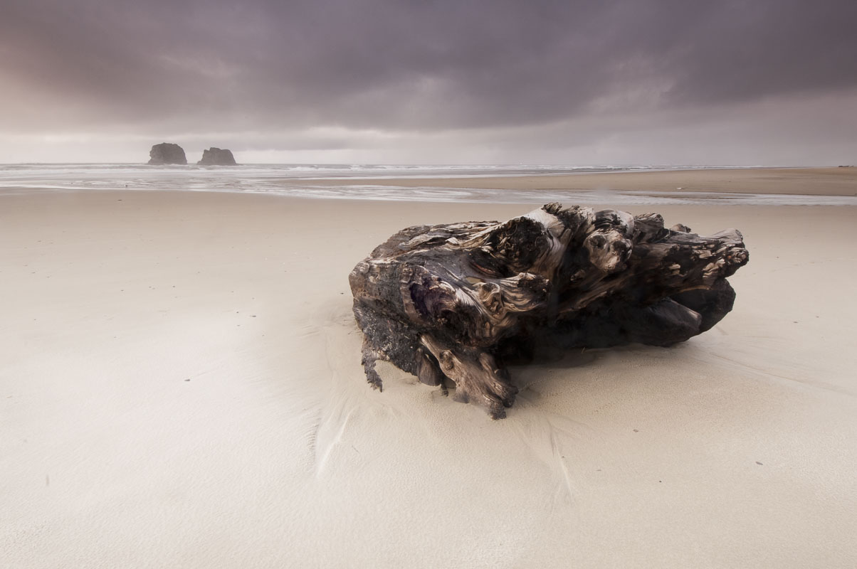 A large driftwood stump lays stranded on an Oregon beach with Twin Rocks in the background.