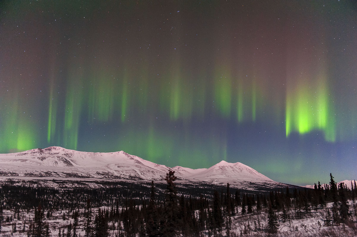 A row of "pillars" of the aurora borealis line up over the Alaska Range near the Denali Highway east of Cantwell, Alaska.