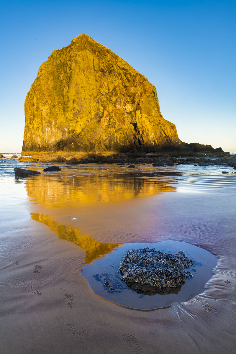 Haystack Rock at Cannon Beach, Oregon, gets full morning sun while a tidepool with a barnacle-encrusted rock rest in the shade...
