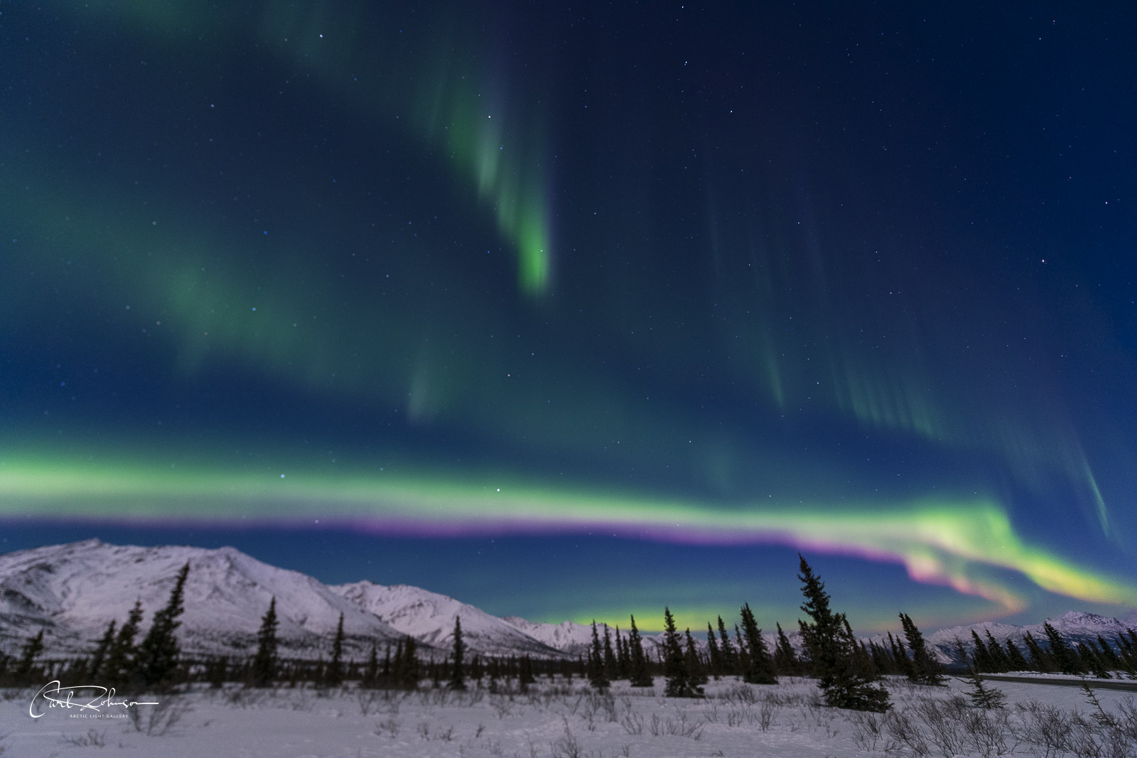 Denali Aurora Denali National Park And Preserve Alaska Carl Johnson