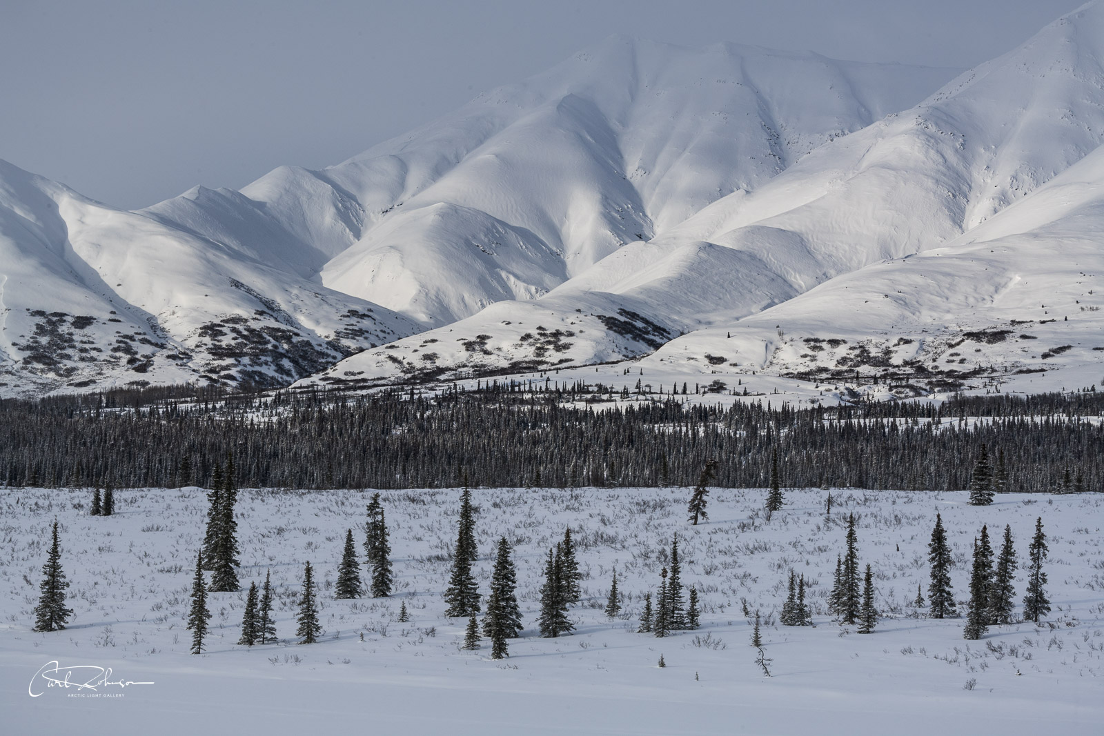 Patterns of light and shadow fall across the Alaska Range in Broad Pass.