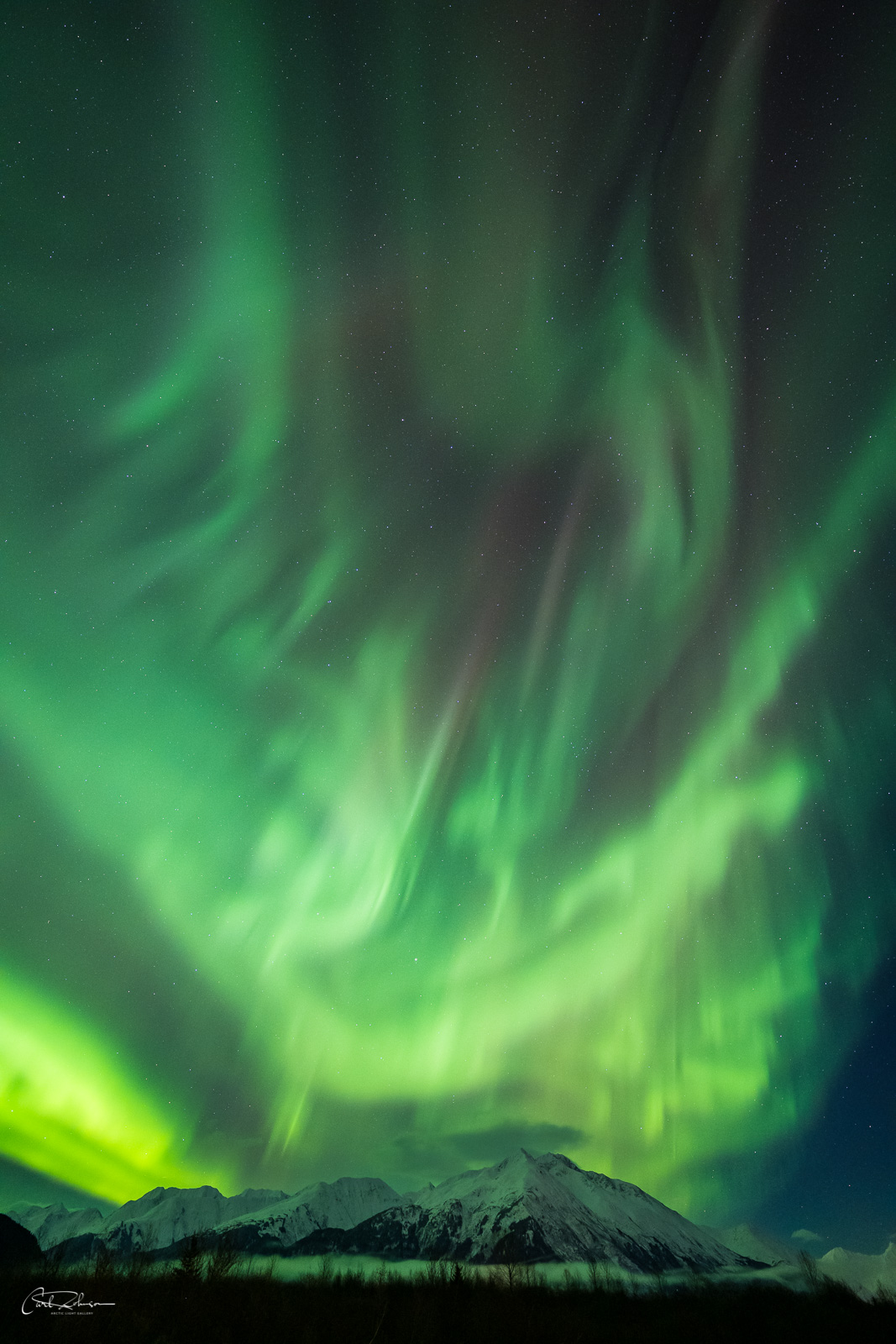 A towering aurora borealis soars over the Chugach Mountains along the Turnagain Arm, Alaska.