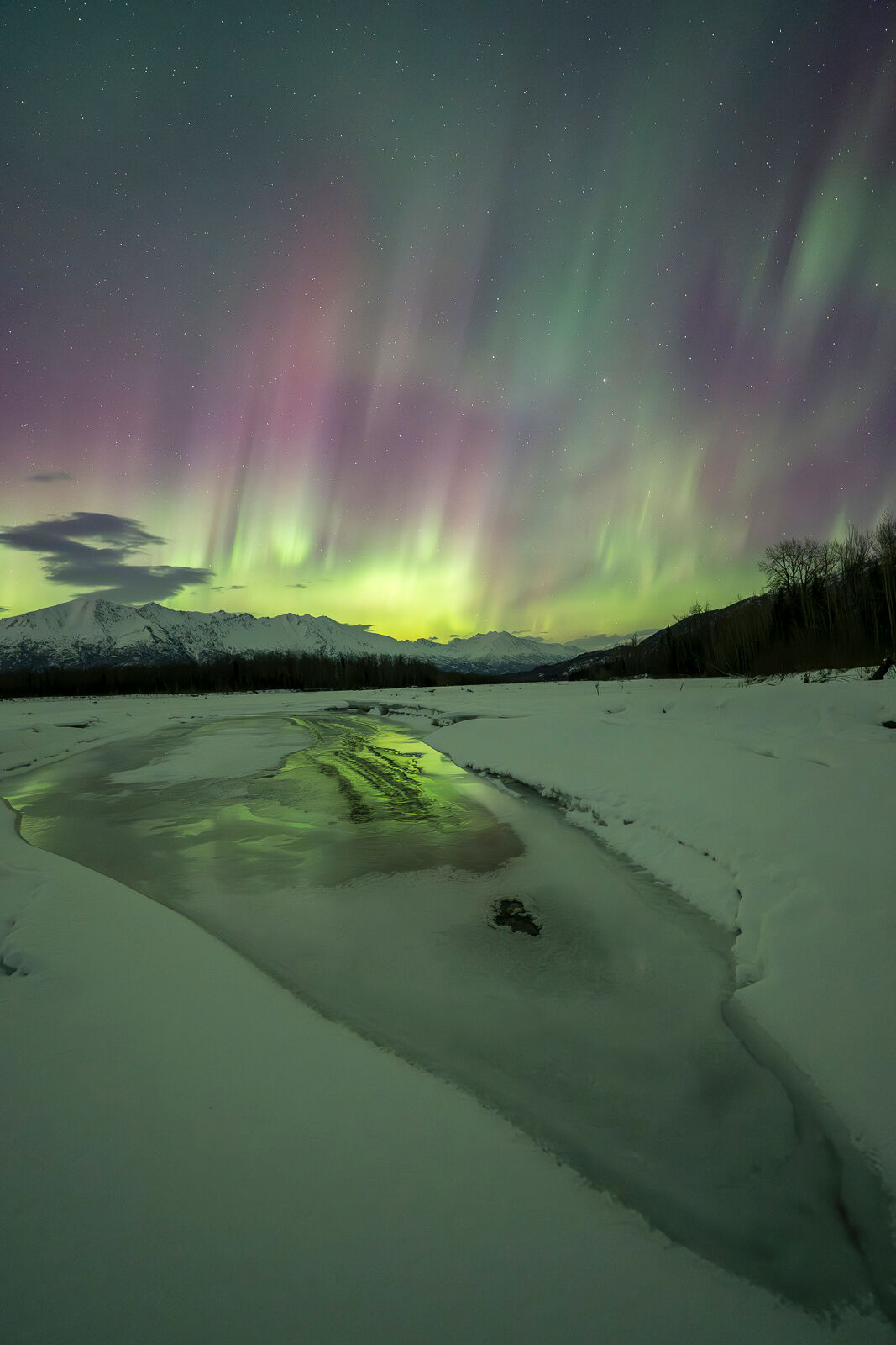 Aurora borealis in Knik River valley, Alaska. 