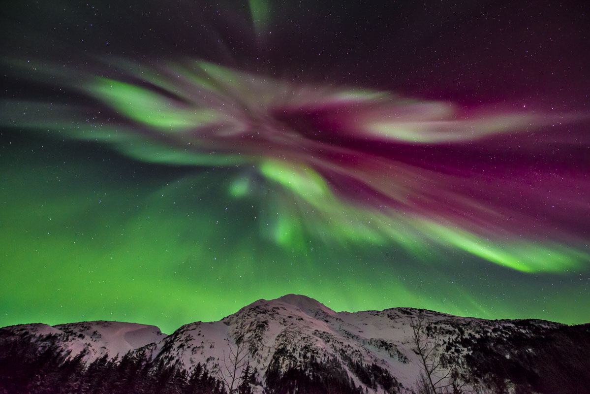 A large corona of an aurora borealis splits between red and green over a ridge in Portage Valley, Chugach National Forest, Alaska...