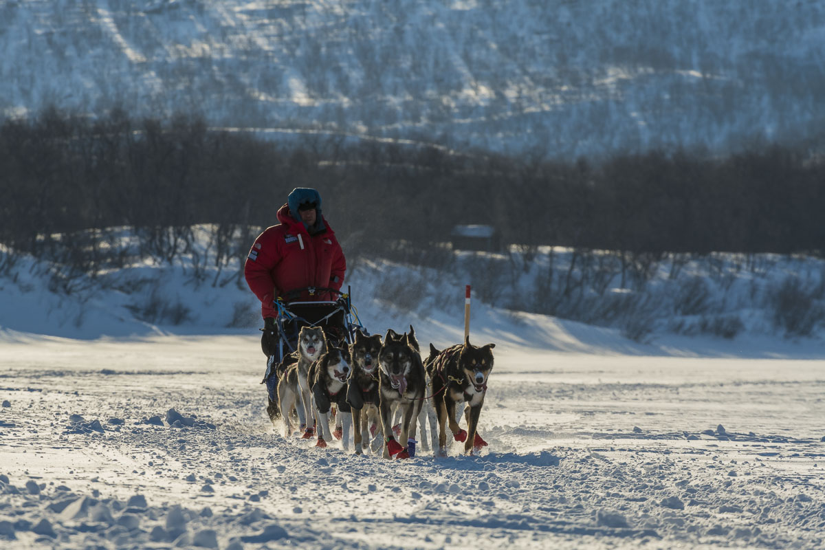 Petter Karlsson drives his team toward a checkpoint during the 2019 Finnmarksløpet dogmushing race.