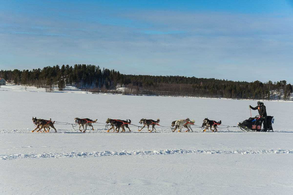 Dallas Seavey drives his team on a frozen lake on final approach to the Ovre Pasvik checkpont for the 2019 Finnmarksløpet race...