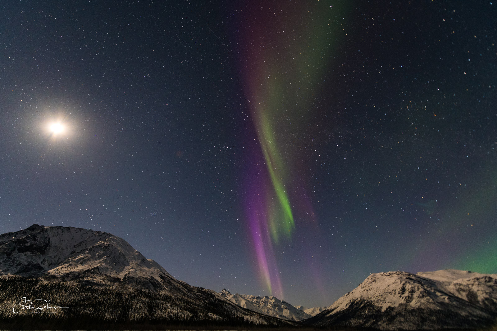 An isolated pillar of purple and green aurora borealis rises against a bright moon in the Brooks Range.