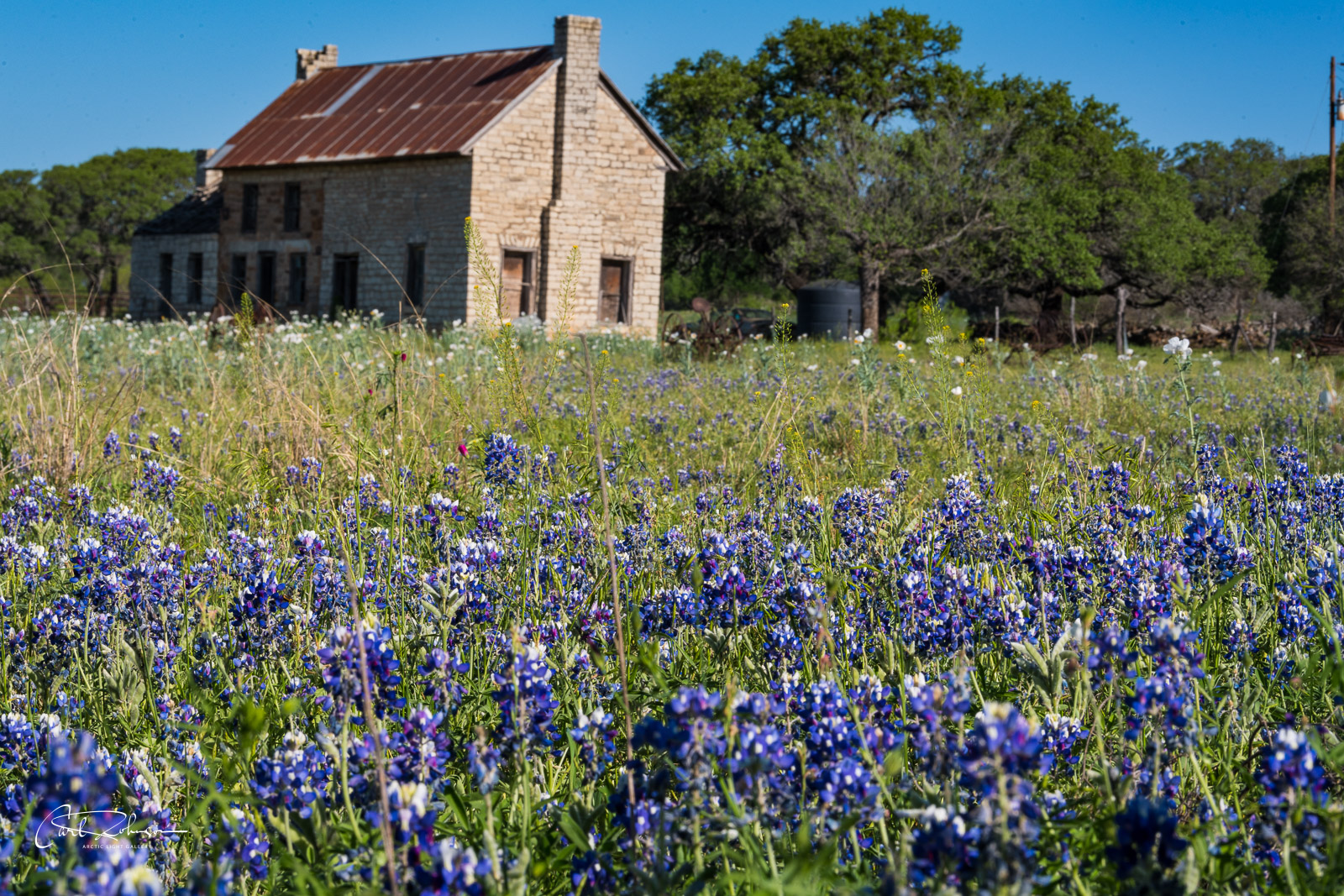 Bluebonnet House