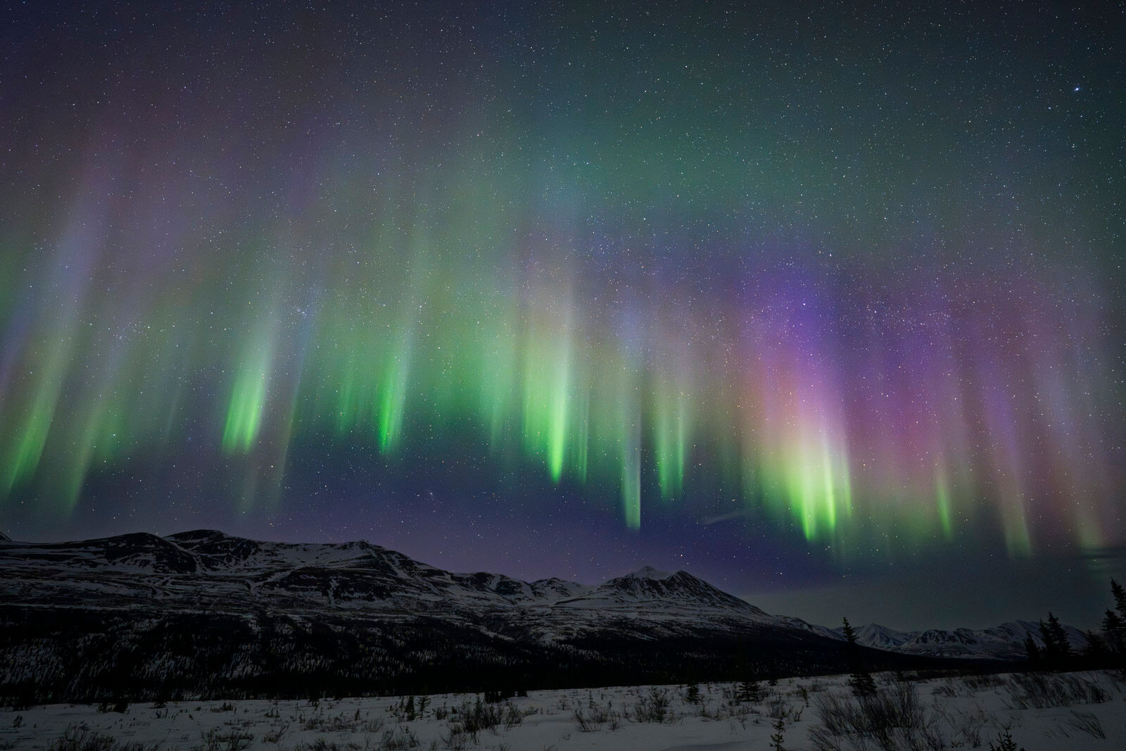 Cantwell, Denali Highway, Spring, aurora, aurora borealis, northern lights