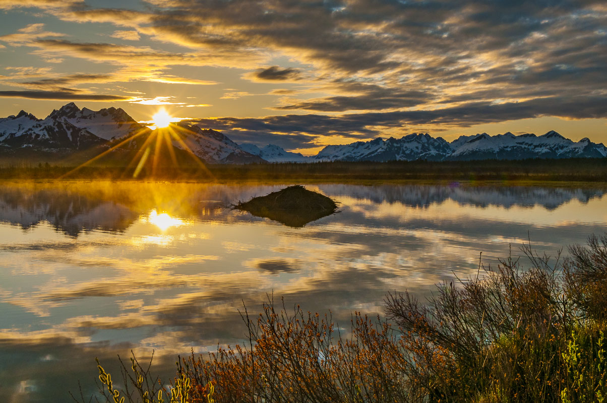 The sun peeks over the top of the Chugach Mountains with a near-perfect reflection on a pond in the Copper River Delta, Chugach...