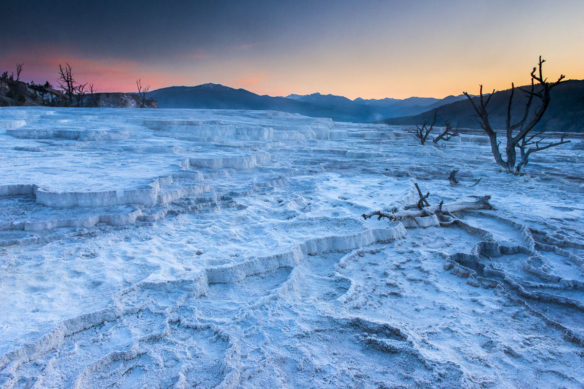 Dawn at the Mammoth Hot Spring Terraces in Yellowstone National Park, Wyoming. Before the sun comes up, these normally white...